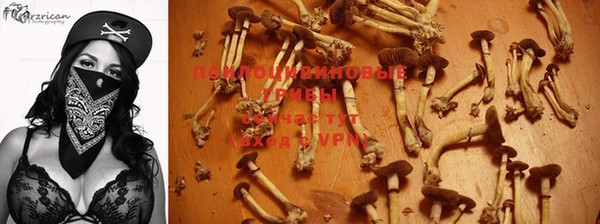 спайс Алексеевка
