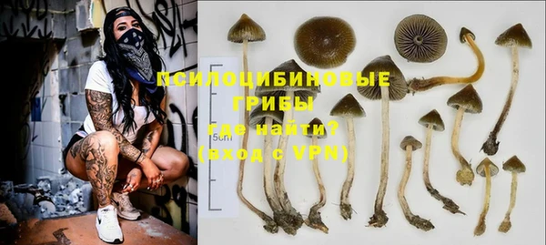 бошки Абаза