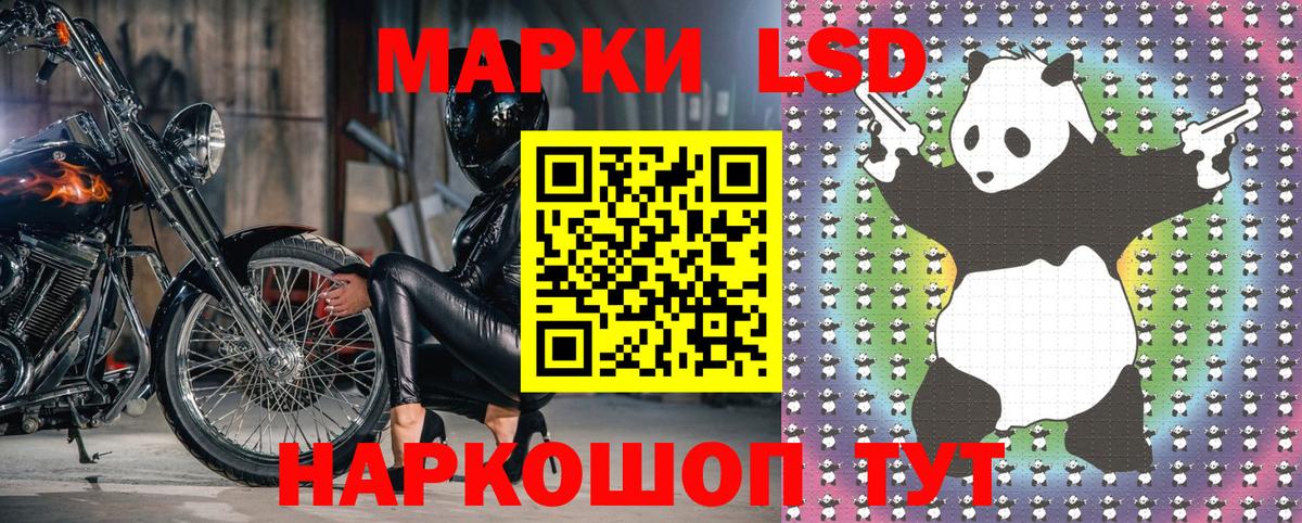 Наркотические марки 1500мкг  Вход с VPN  Наркотические марки 1500мкг  Губкин 