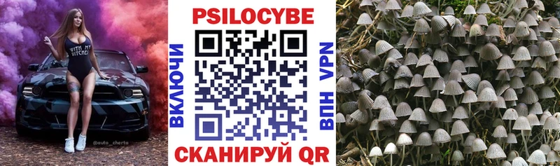 цены наркотик  Губкин  Псилоцибиновые грибы MAGIC MUSHROOMS 